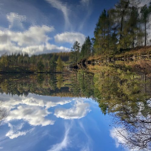 Lake District - Tarn Hows